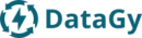 datagy-logo-long_blue